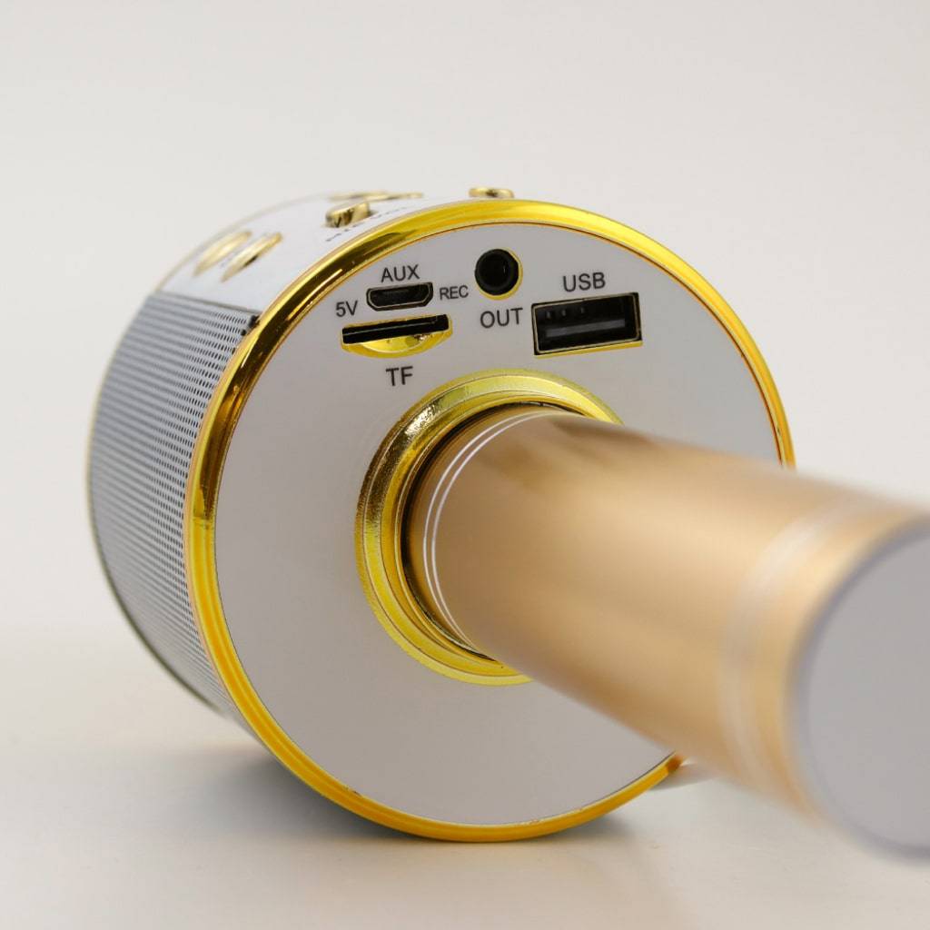 Wireless Karaoke Microphone Entertaining Toys Upsell & Downsell Wireless Karaoke Microphone Entertaining Toys Upsell & Downsell