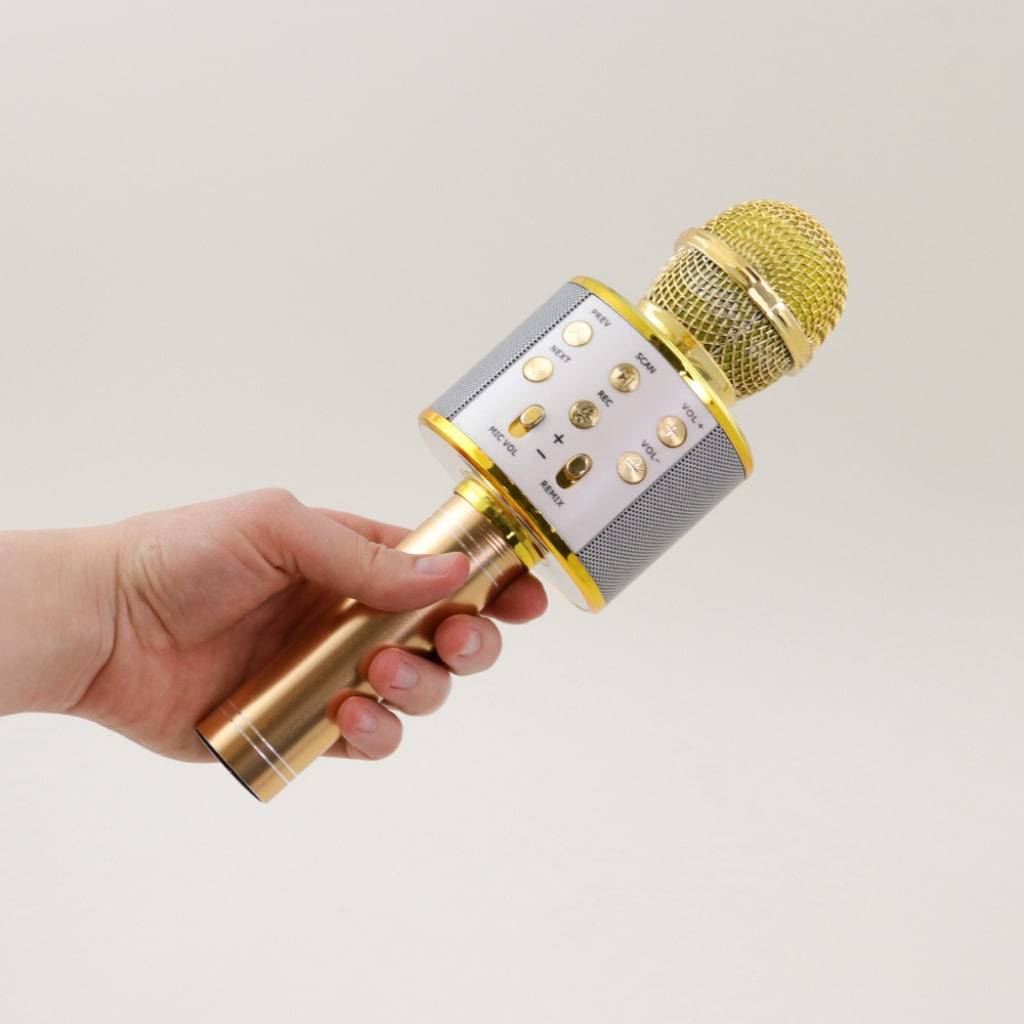 Wireless Karaoke Microphone Entertaining Toys Upsell & Downsell Wireless Karaoke Microphone Entertaining Toys Upsell & Downsell