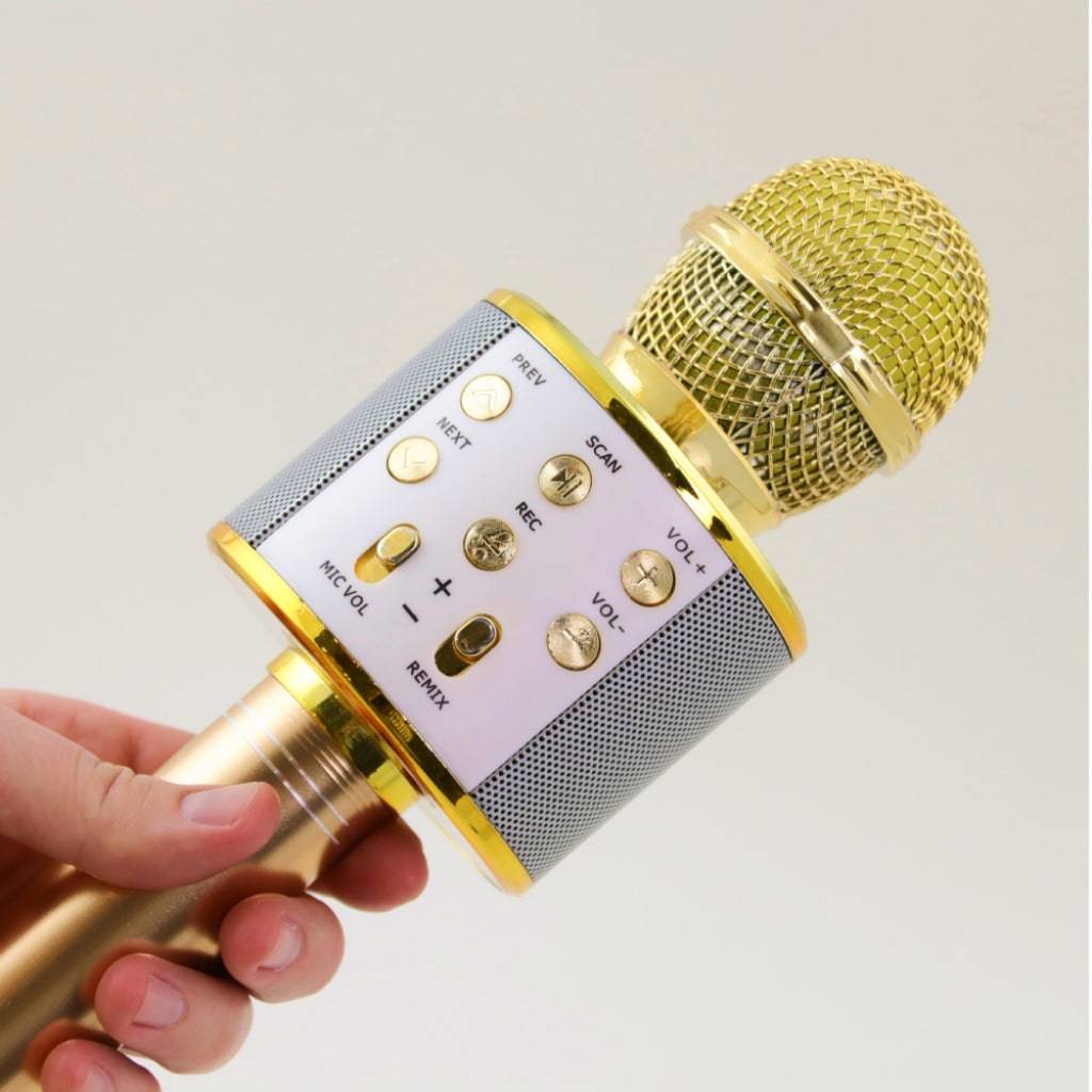 Wireless Karaoke Microphone Entertaining Toys Upsell & Downsell Wireless Karaoke Microphone Entertaining Toys Upsell & Downsell
